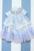 画像2: 【新宿マルイアネックス店 店頭販売商品】ジェニー/OF:衣装 2100150000012026-ZM (2)