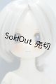 画像: 【新宿マルイアネックス店 店頭販売商品】TinyFox/付き人のアザラシ ノーミ 2100150000012129-ZM