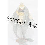 画像: DD/OF:衣装セット S-26-06-07-567-GN-ZS