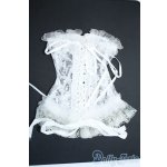 画像: DD/OF:下着 Y-25-11-26-147-GN-ZY