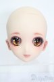 画像: DD/DDH-06:Skyloops様製カスタムヘッド S-25-06-15-238-GN-ZS