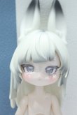 画像1: 【新宿マルイアネックス店 店頭販売商品】不可食用人形 Inedible Doll/月飛び時間シリーズ:清禾 2100150000012333-ZM (1)