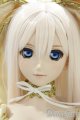 画像: 【新宿マルイアネックス店 店頭販売商品】DD/シェリル・ノーム 2100150000012364-ZM
