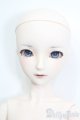 画像: DD/9S(ヨルハ九号S型/ニーアオートマタ) S-25-06-15-106-GN-ZS
