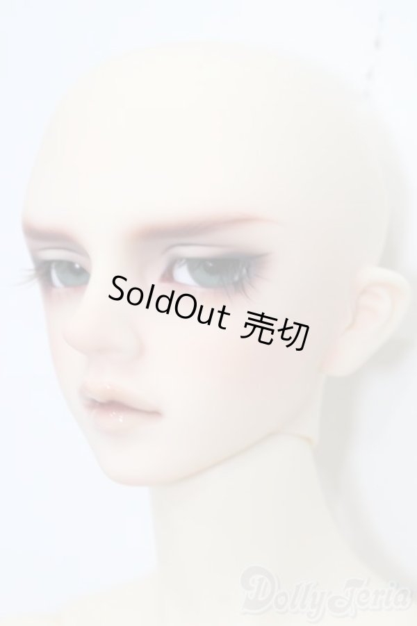 画像3: SD17B/ウィリアムズ Williams Commodore Ver.2 S-25-11-23-652-GN-ZS (3)