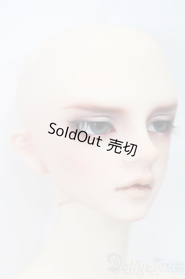 画像4: SD17B/ウィリアムズ Williams Commodore Ver.2 S-25-11-23-652-GN-ZS (4)