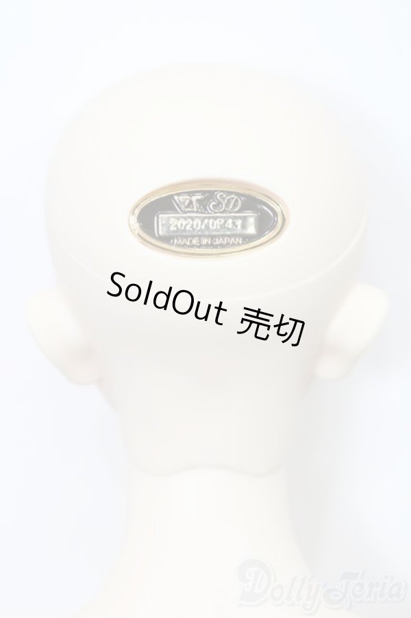 画像5: SD17B/ウィリアムズ Williams Commodore Ver.2 S-25-11-23-652-GN-ZS (5)