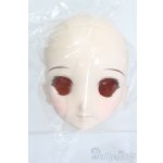 画像: DD/DDH-06 メイク済みヘッド 2011ver. S-25-06-22-025-GN-ZS