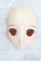 画像: DD/DDH-06 メイク済みヘッド 2011ver. S-25-06-22-025-GN-ZS
