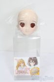 画像5: DD/DDH-06 メイク済みヘッド 2011ver. S-25-06-22-025-GN-ZS (5)