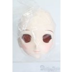 画像: DD/DDH-06 メイク済みヘッド 2011ver. S-25-06-22-026-GN-ZS