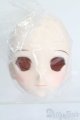 画像: DD/DDH-06 メイク済みヘッド 2011ver. S-25-06-22-026-GN-ZS
