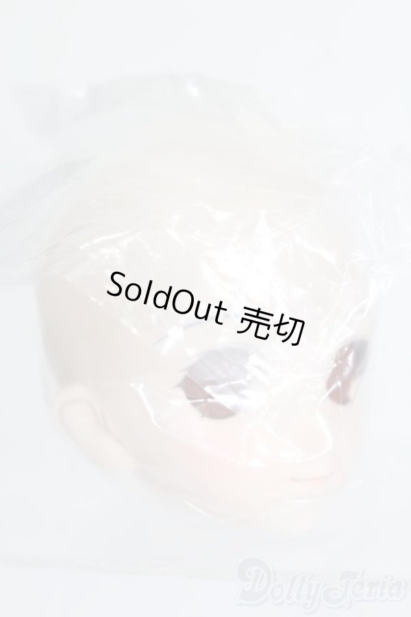 画像3: DD/DDH-06 メイク済みヘッド 2011ver. S-25-12-21-397-GN-ZS (3)