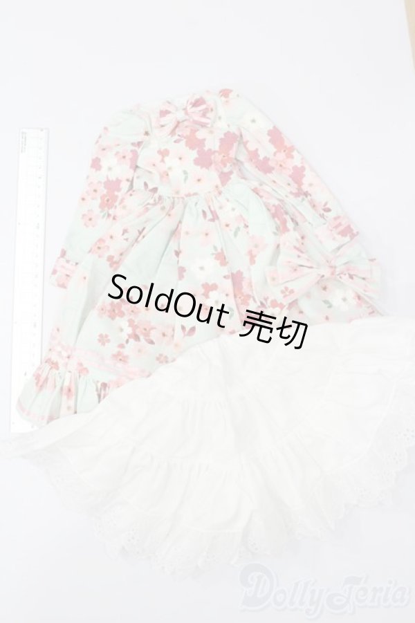 画像5: SD/OF:フリルワンピースセット Moonlit Rose様製 S-26-01-04-269-GN-ZS (5)