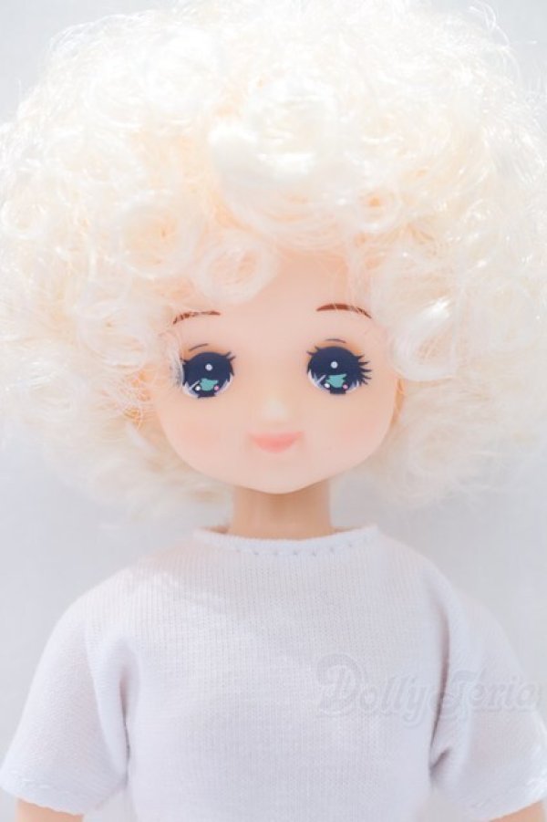 画像1: リカちゃんキャッスル/ファニー S-26-01-11-051-GN-ZS (1)