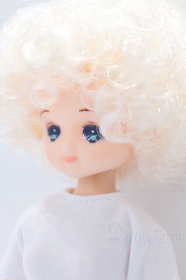 画像2: リカちゃんキャッスル/ファニー S-26-01-11-051-GN-ZS (2)