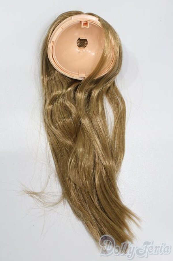 画像1: ネオブライス/ウィンサムウィロー 頭皮 髪パーツ S-25-06-22-227-GN-ZS (1)