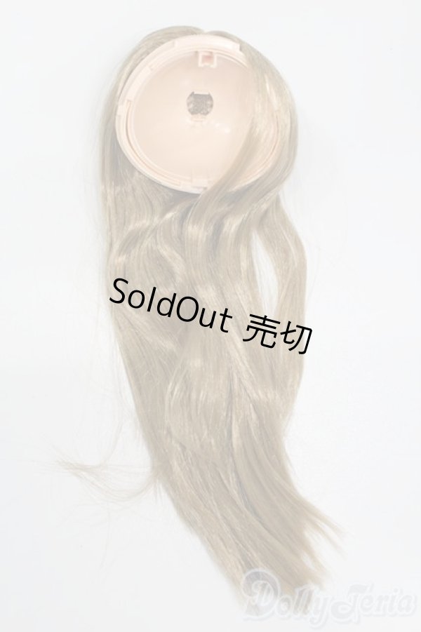 画像1: ネオブライス/ウィンサムウィロー 頭皮 髪パーツ S-25-06-22-227-GN-ZS (1)