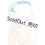 画像: SIMONTOYS/TEENNAR スイートスクール ブルーベリー S-25-10-05-383-GN-ZS