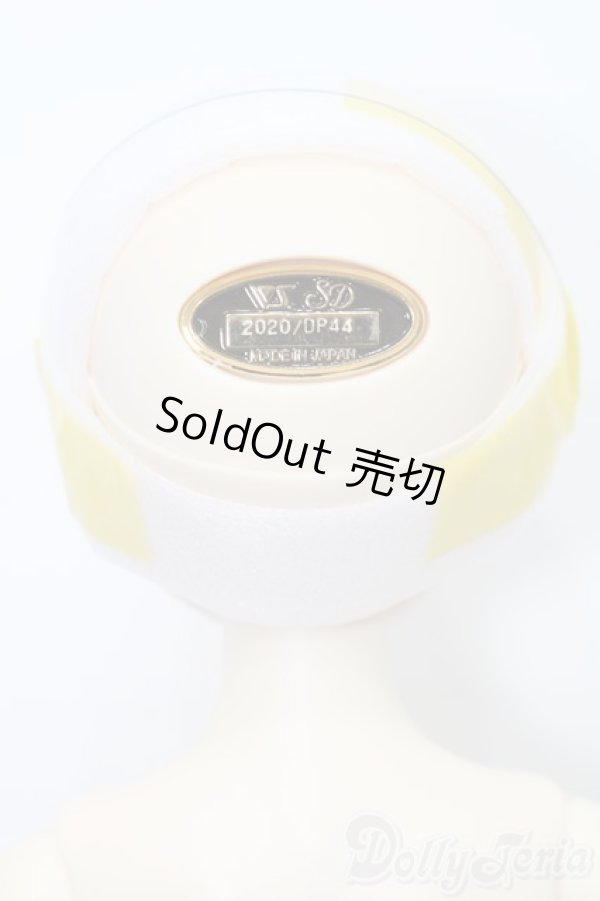 画像5: SDMBOY/ギルバート 星間学寮Ver. S-25-06-29-008-GN-ZS (5)