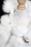画像4: 40cmドール/OF:snow Queen special dress set NINE9　STYLE製 S-25-06-29-030-GN-ZS (4)
