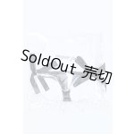 画像: MDD/OF:下着 S-26-03-15-082-GN-ZS