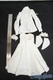画像2: MDD/OF:衣装セット Y-26-01-28-220-GN-ZY (2)