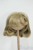 画像1: 9-10inch/ウィッグ Y-25-12-17-205-GN-ZY (1)
