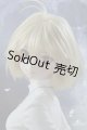 画像: 【新宿マルイアネックス店 店頭販売商品】DD/月姫:アルクェイド・ブリュンスタッド 2100150000013236-ZM