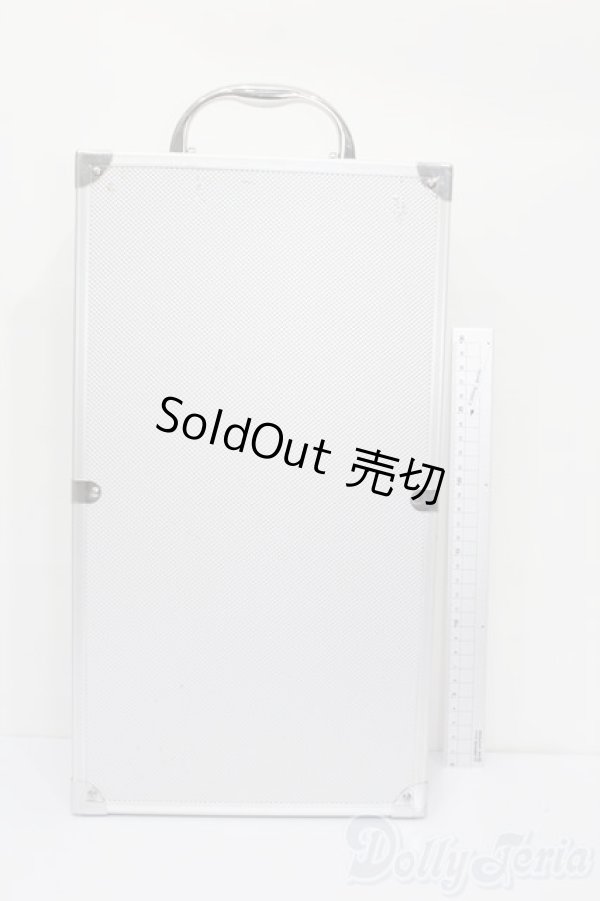 画像4: 30cmサイズドール/キャリーケース S-25-11-02-473-GN-ZS (4)