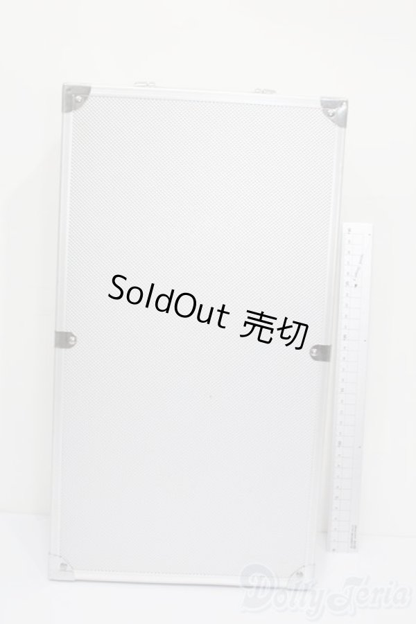 画像4: 30cmサイズドール/キャリーケース S-25-11-02-474-GN-ZS (4)