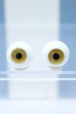 画像1: 【新宿マルイアネックス店 店頭販売商品】16mm/グラスアイ 2100150000013428-ZM (1)