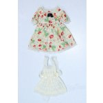 画像: MDD/OF:衣装セット S-25-11-09-547-GN-ZS