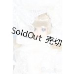 画像: ジェニー/エクセリーナ ジェニーズクラブ1999 Sメンバープレミアムドール S-25-12-21-452-GN-ZS