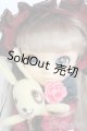 画像: プーリップ/真紅 S-25-07-06-055-GN-ZS