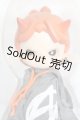 画像: PENNY'S BOX x ADOU/ストリートシリーズ：超かっこいいアドウ！ S-25-07-06-113-GN-ZS