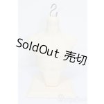 画像: TelesthesiaDoll/Torso(トルソー) S-25-07-06-208-GN-ZS