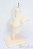 画像2: TelesthesiaDoll/Torso(トルソー) S-25-07-06-208-GN-ZS (2)