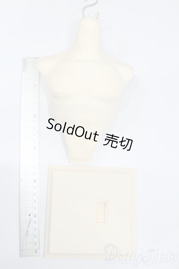 画像4: TelesthesiaDoll/Torso(トルソー) S-25-07-06-208-GN-ZS (4)