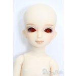 画像: 幼SD/エディ S-25-07-13-102-GN-ZS