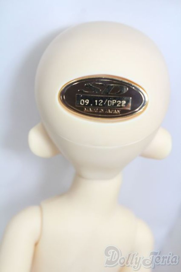 画像4: 幼SD/エディ S-25-11-16-467-GN-ZS (4)