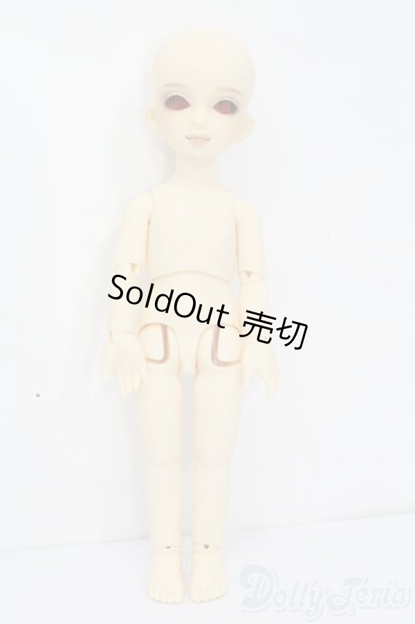 画像5: 幼SD/エディ S-25-11-16-467-GN-ZS (5)