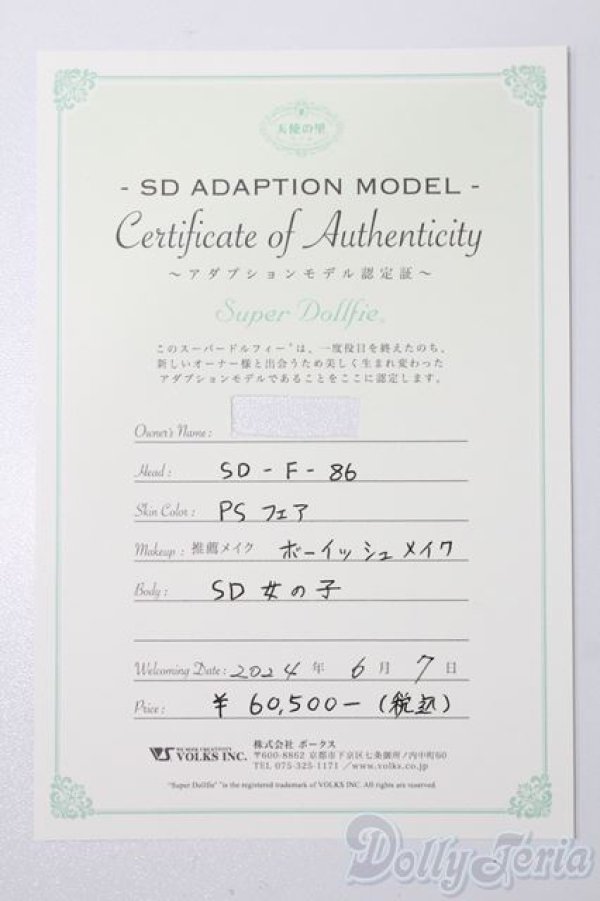 画像9: SD女の子/F-86 アダプションモデル S-26-01-25-473-GN-ZS (9)