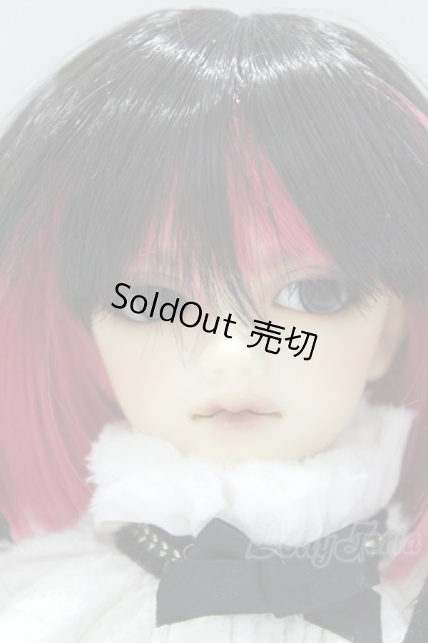 画像1: 幼Midi/レイズナーヘッド＋SDMボディ S-25-11-09-001-GN-ZS (1)