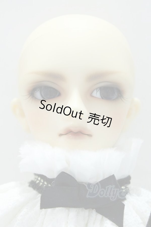 画像2: 幼Midi/レイズナーヘッド＋SDMボディ S-25-11-09-001-GN-ZS (2)