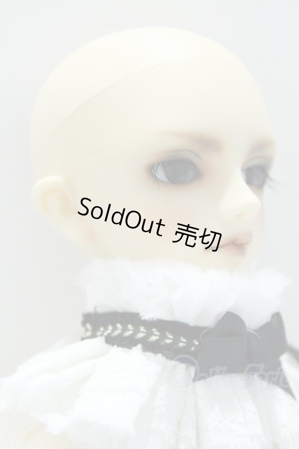 画像3: 幼Midi/レイズナーヘッド＋SDMボディ S-25-11-09-001-GN-ZS (3)