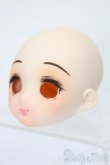 画像2: パラボックス/PB6006-B Aiちゃんヘッド カスタム S-25-07-06-222-GN-ZS (2)