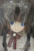 画像1: 【新宿マルイアネックス店 店頭販売商品】azone/Alvastaria ラヴィ〜猫怪盗を追え！〜(ワトソンちゃんver.) 2100150000014173-ZM (1)