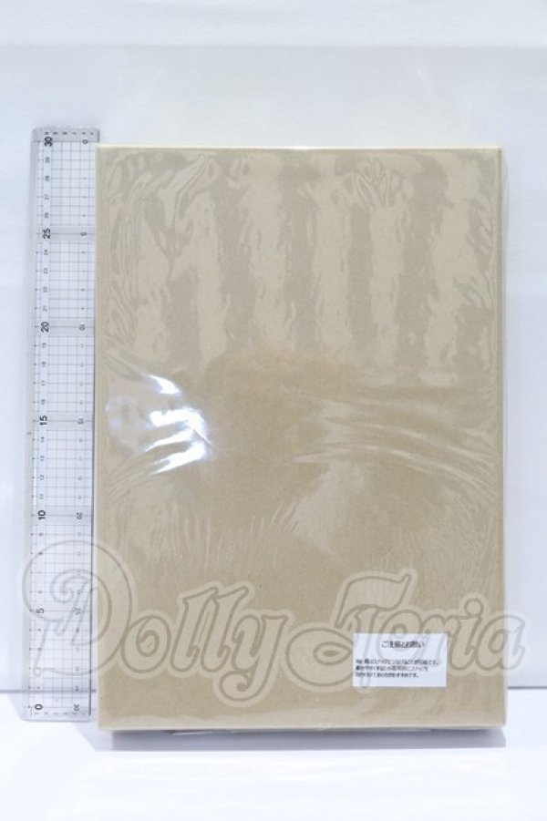 画像2: DD/OF:Living with 初音ミク Gatebox S-26-04-05-058-GN-ZS (2)