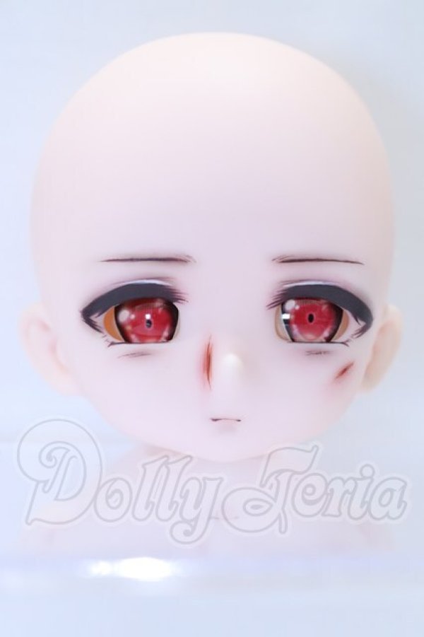画像1: RealDoomsday/カスタムヘッド S-26-05-03-063-GN-ZS (1)